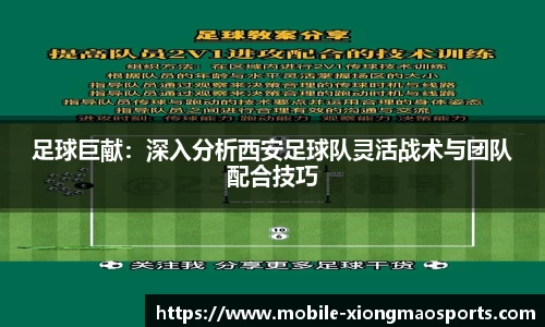 熊猫体育