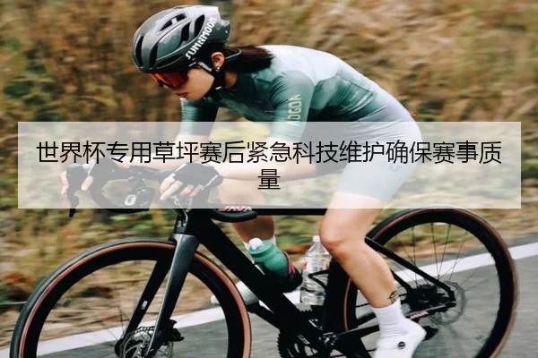 世界杯专用草坪赛后紧急科技维护确保赛事质量